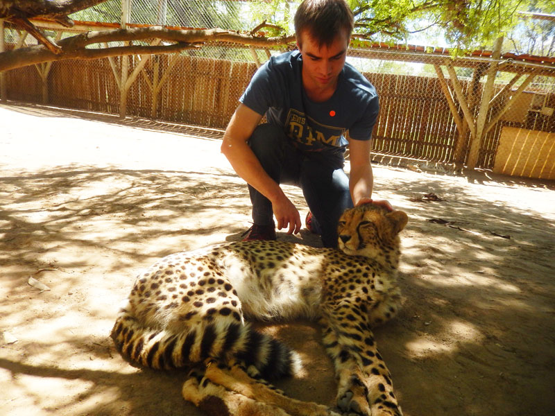 Cheetah interaction at the Cango Wildlife Ranch